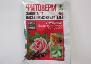 калифорнийская щитовка