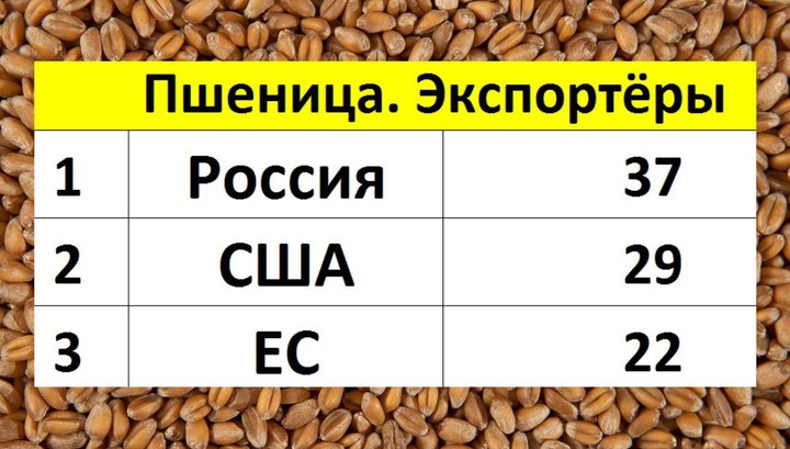 Россия отправила в Саудовскую Аравию первую партию пшеницы